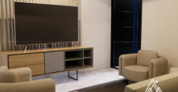 Modern Stylish Apartment